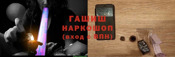 прущие грибы Горно-Алтайск