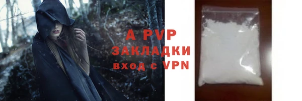 прущие грибы Горно-Алтайск