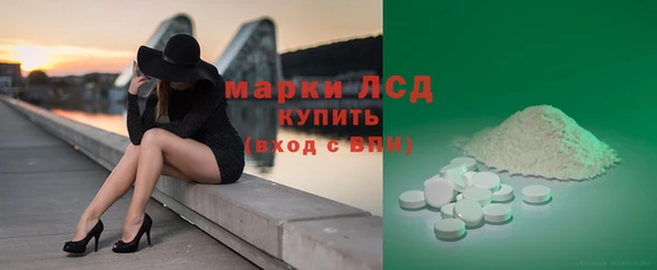 прущие грибы Горно-Алтайск