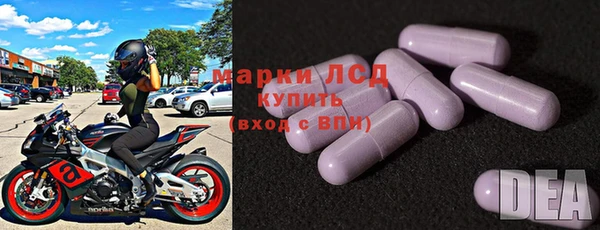 стафф Горнозаводск