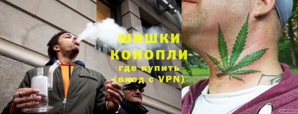 прущие грибы Горно-Алтайск