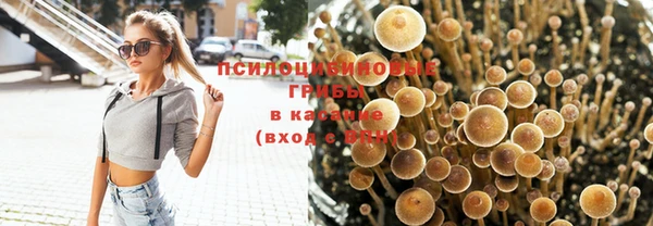 стафф Горнозаводск