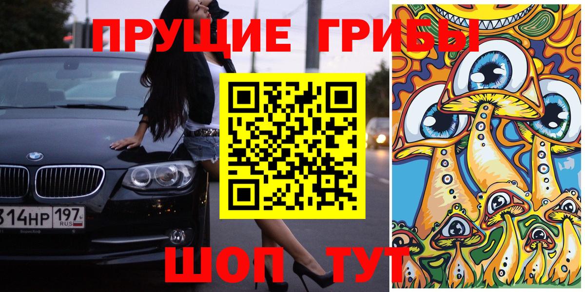 купить наркоту  Вход с VPN  Дивногорск  Галлюциногенные грибы Cubensis 