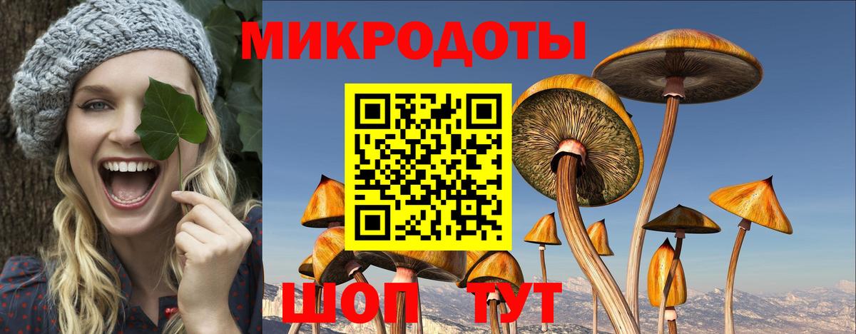 Галлюциногенные грибы ЛСД  Галлюциногенные грибы Psilocybine cubensis  купить наркотик  Дивногорск 