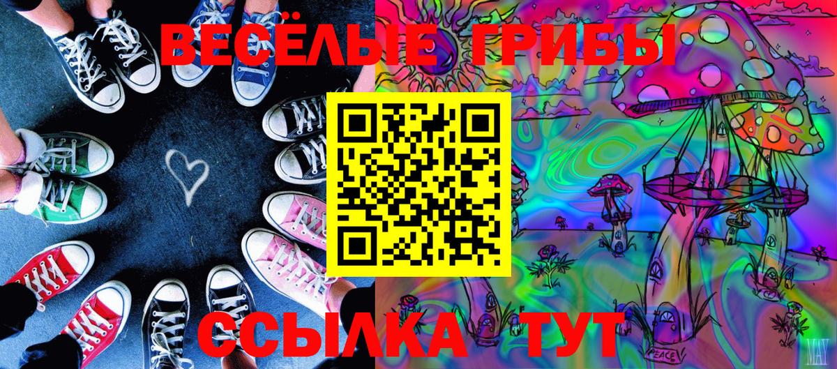 Псилоцибиновые грибы GOLDEN TEACHER Дивногорск